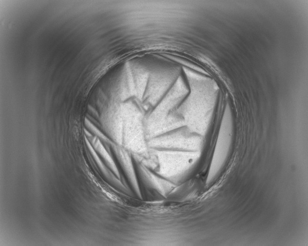 X0000059250993200511111636