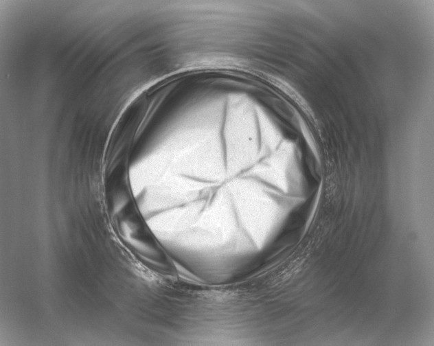 X0000059250996200511111636