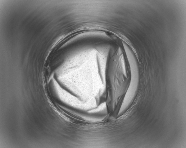 X0000059250997200511111636