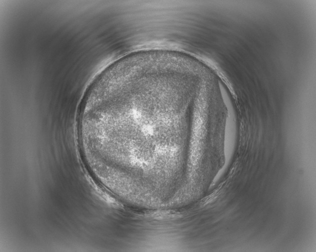 X0000059250998200511111636