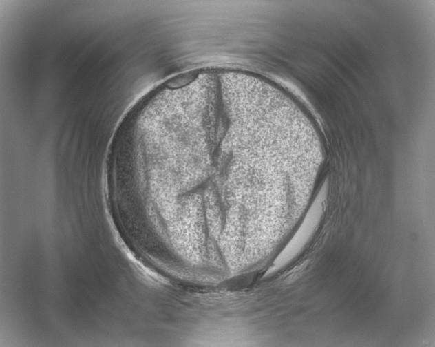 X0000059250999200511111636