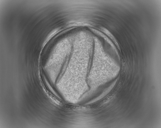 X0000059251002200511111636