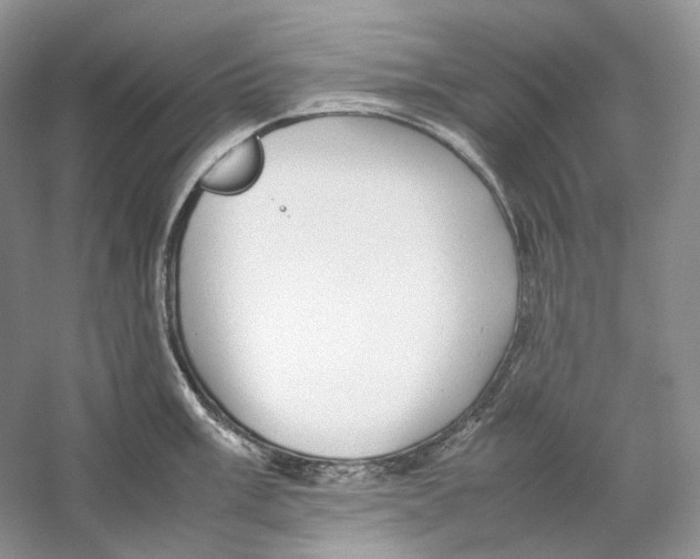 X0000059251003200511111636