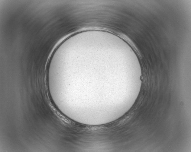 X0000059251004200511111636