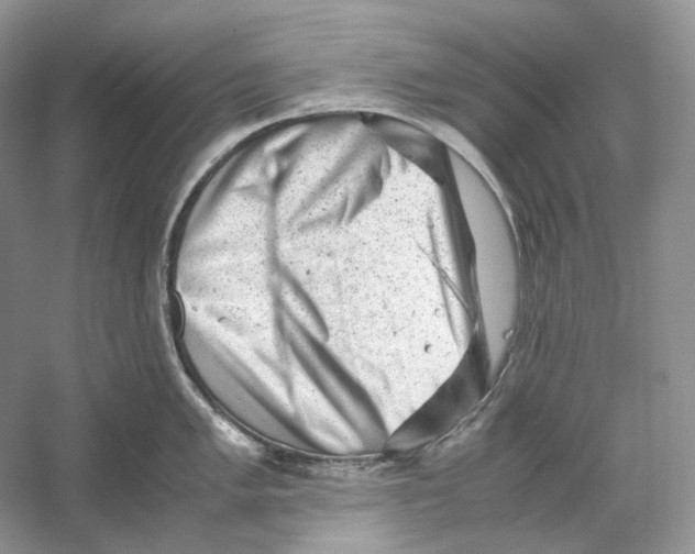 X0000059251005200511111636