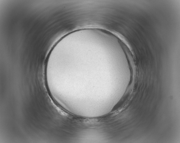 X0000059251006200511111636