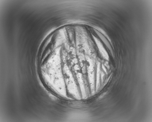 X0000059251007200511111636