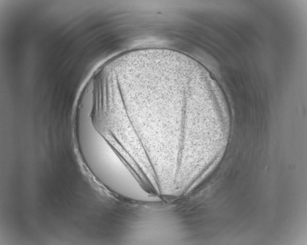 X0000059251008200511111636