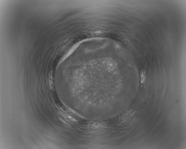 X0000059251011200511111635