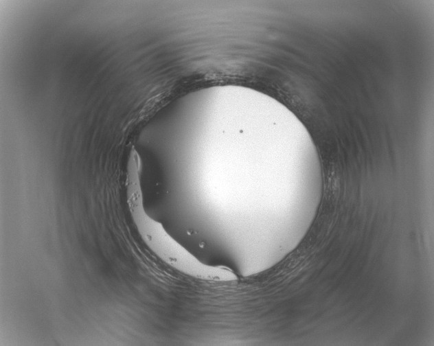 X0000059251012200511111635