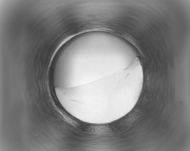 X0000059251024200511111635