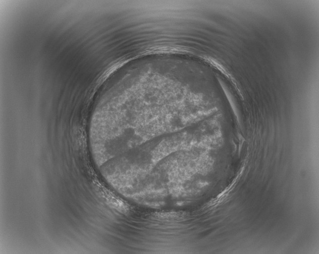 X0000059251025200511111636