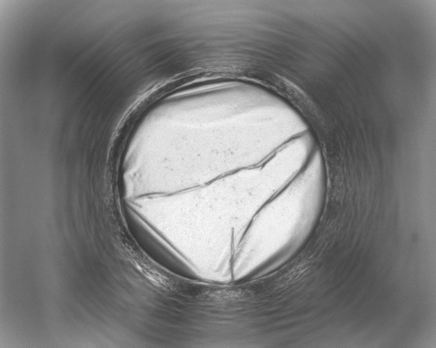 X0000059251027200511111636