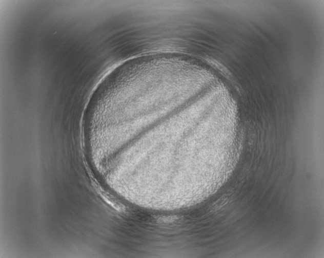 X0000059251031200511111636