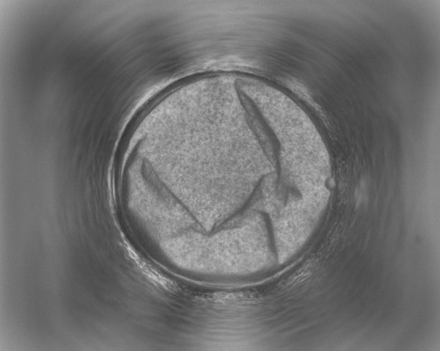 X0000059251032200511111636