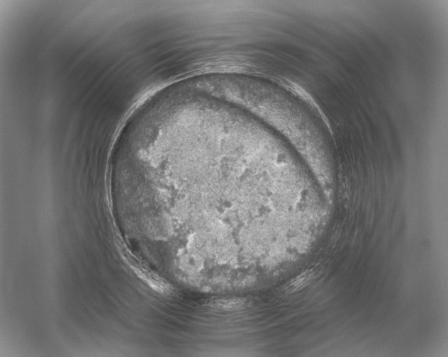 X0000059251035200511111636