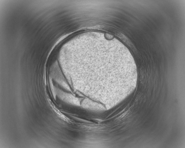 X0000059251036200511111636