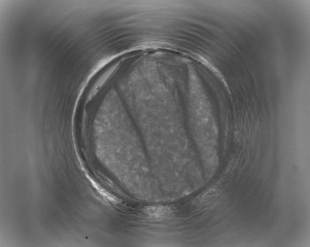 X0000059251037200511111636