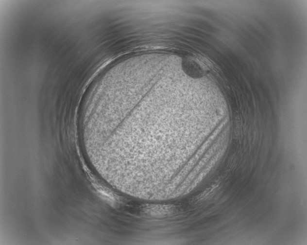 X0000059251039200511111636