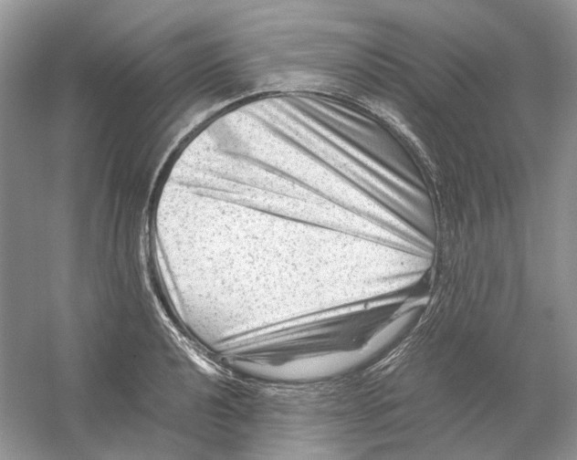 X0000059251040200511111636