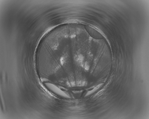 X0000059251045200511111636