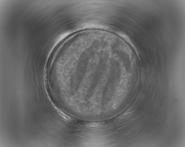 X0000059251048200511111636