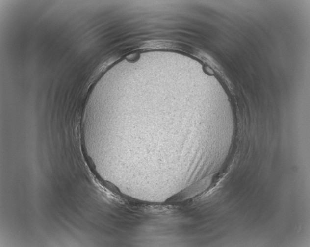 X0000059251049200511111636