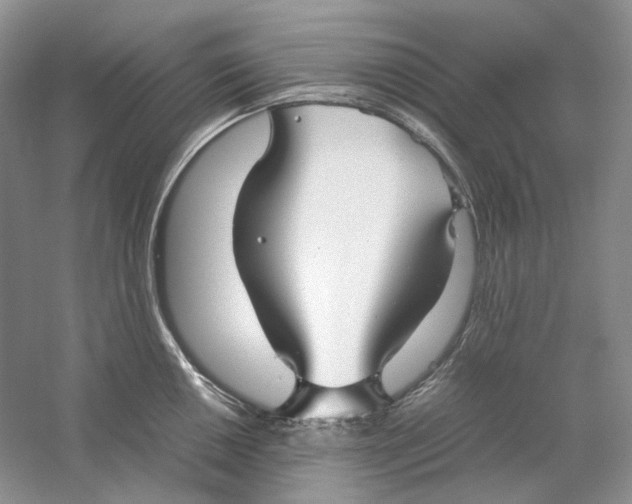 X0000059251050200511111636