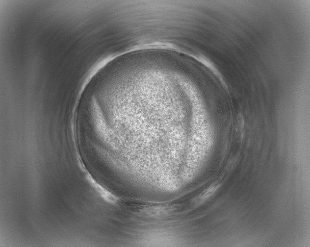 X0000059251054200511111636