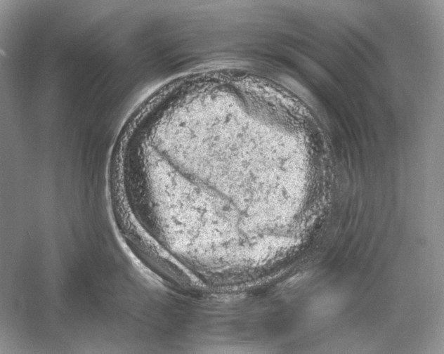 X0000059251055200511111636