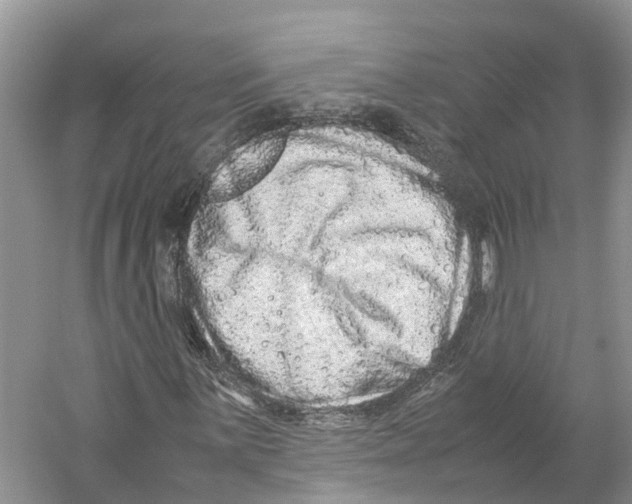 X0000059251059200511111635