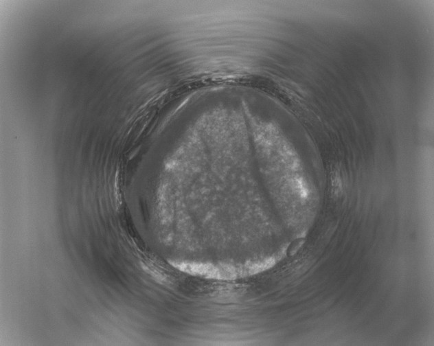 X0000059251060200511111635