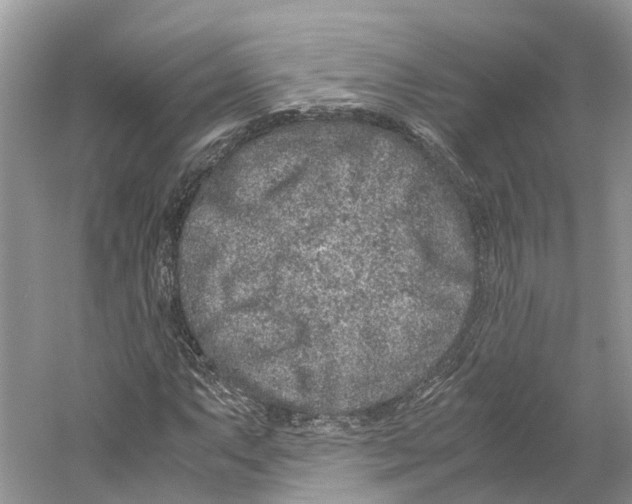 X0000059251063200511111635