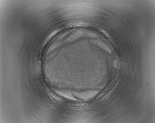 X0000059251066200511111635