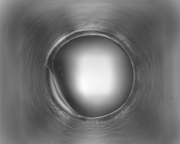 X0000059251069200511111635