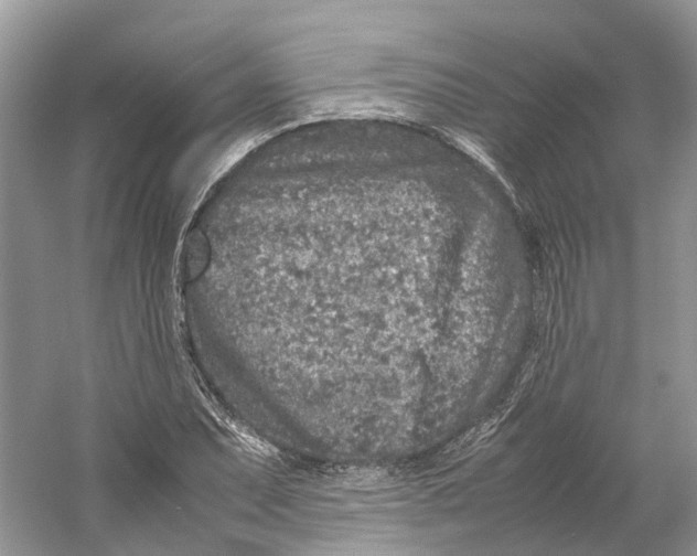 X0000059251071200511111635