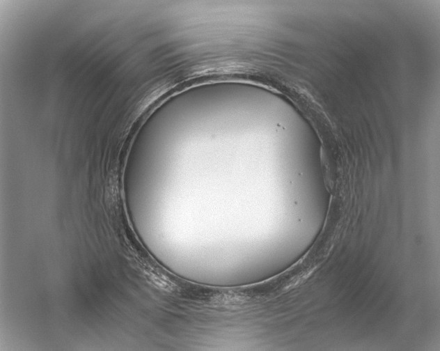 X0000059251073200511111635