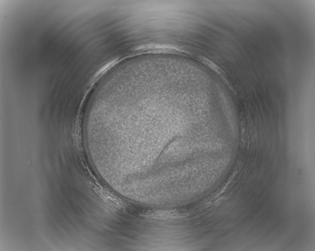 X0000059251074200511111635