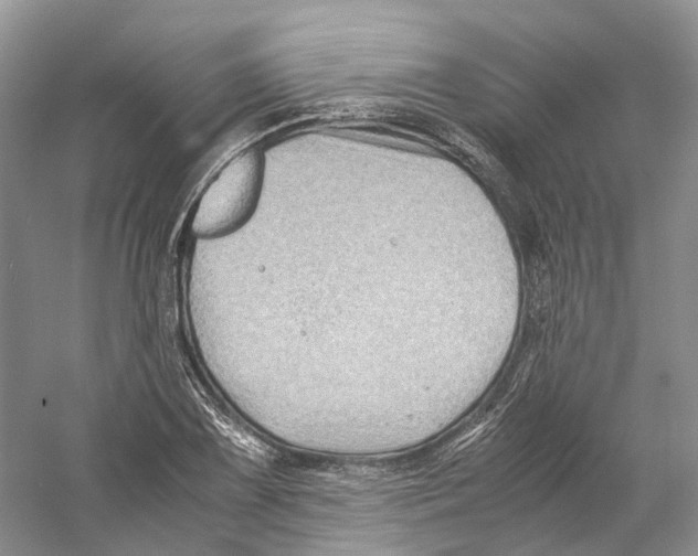 X0000059251075200511111635