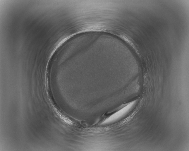 X0000059251077200511111635