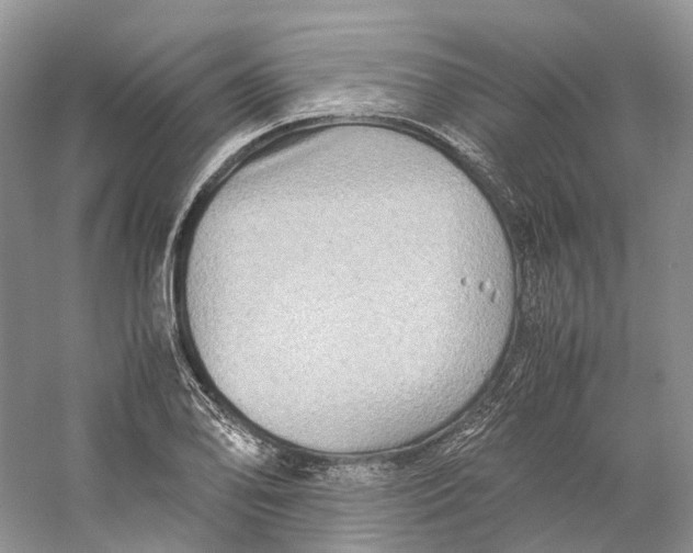 X0000059251078200511111635