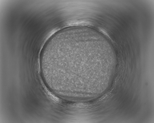 X0000059251079200511111635