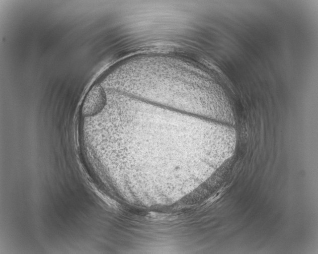 X0000059251083200511111635