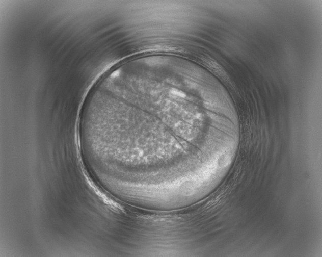 X0000059251084200511111635