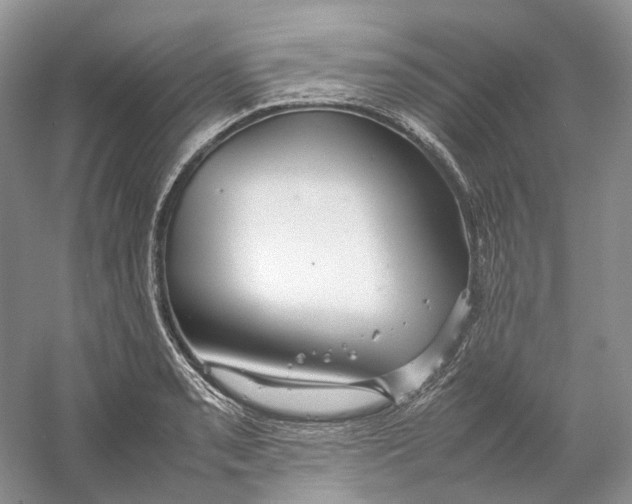 X0000059251085200511111635