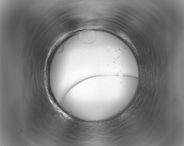 X0000059251088200511111635