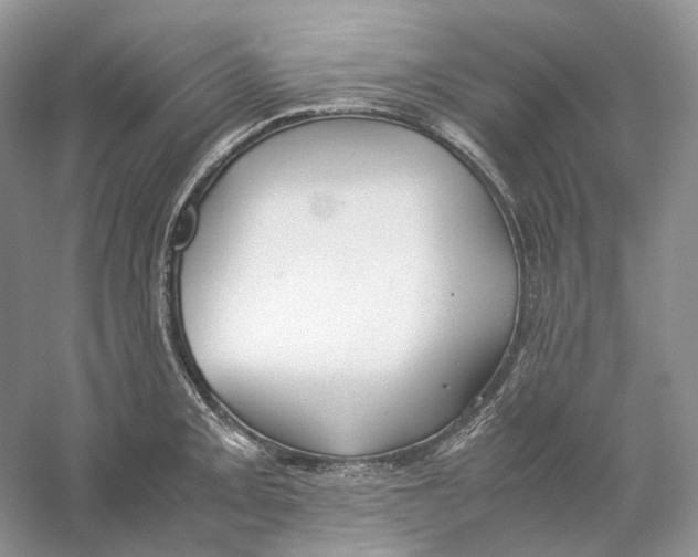 X0000059251093200511111635