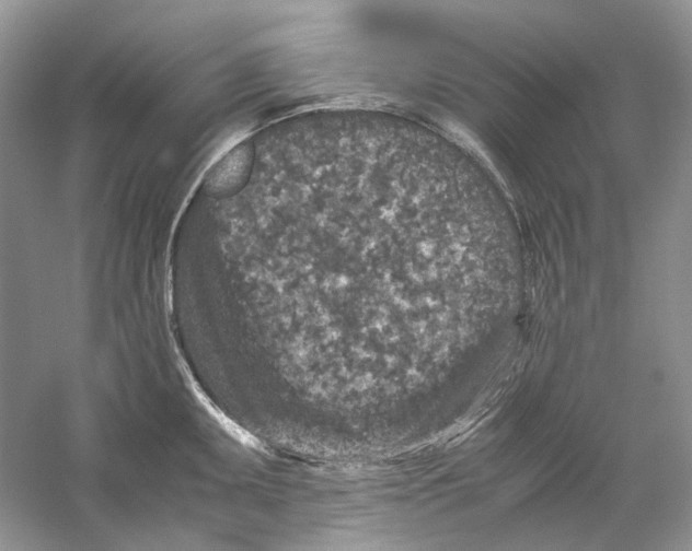 X0000059251095200511111635