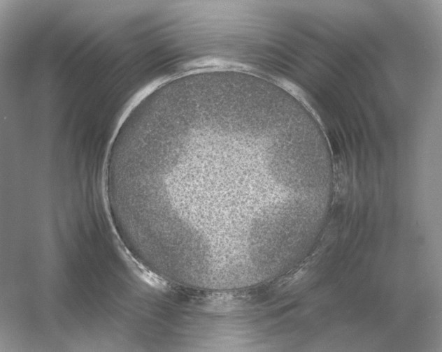 X0000059251098200511111635