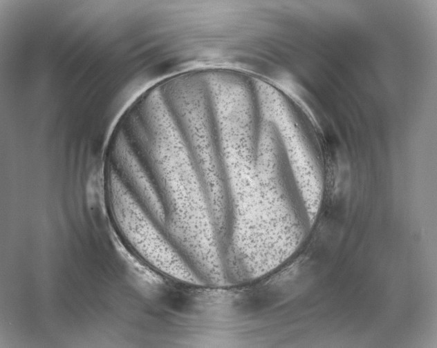 X0000059251100200511111634